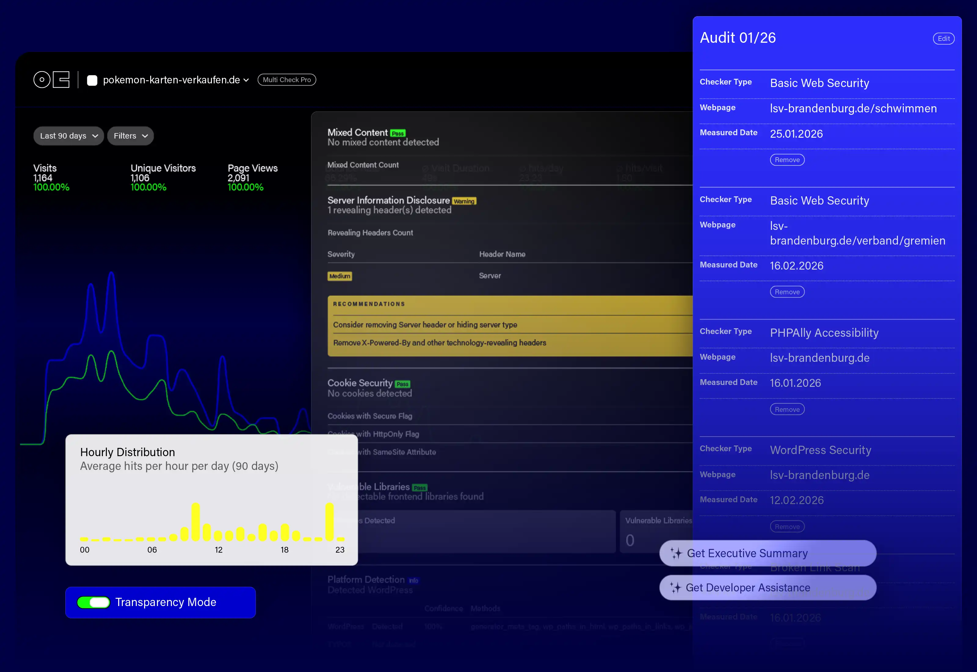 +Analytics Pro audit view with website metrics, security checks, and recommendations.